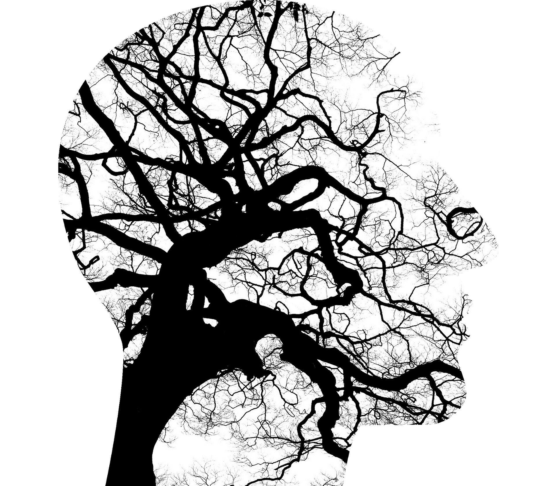 Psicologi