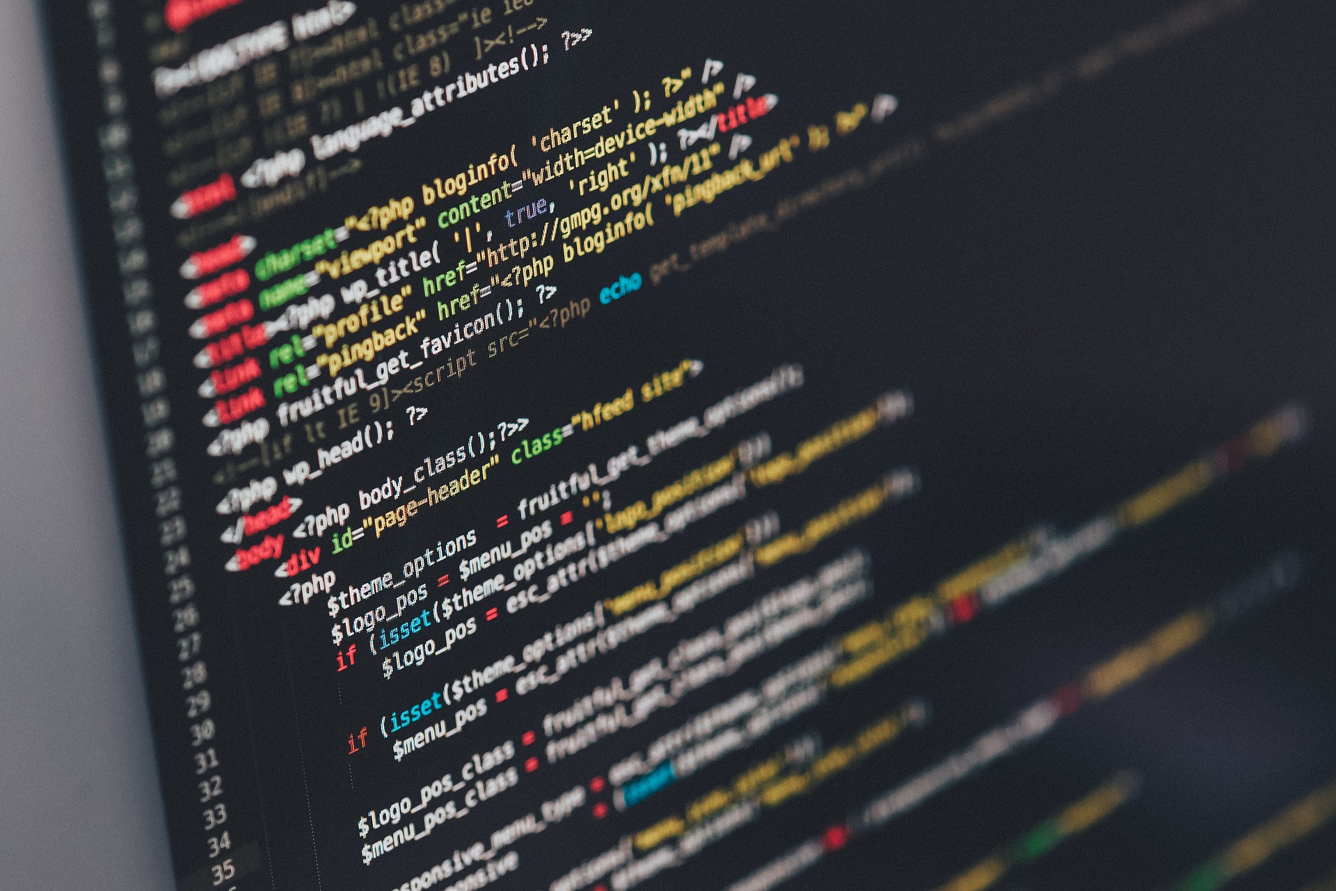 Software house/Servizi di informatica